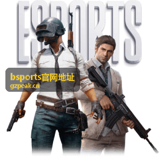 bsports官网地址快速导航