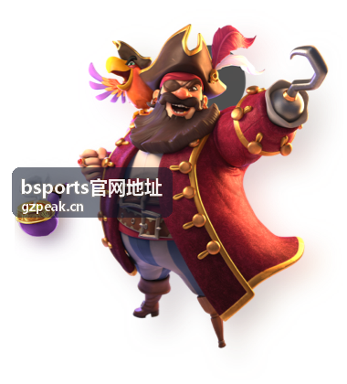 bsports官网地址功能使用操作示意图